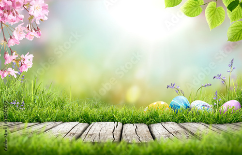 Obraz na płótnie Painted easter eggs in the grass celebrating a Happy Easter in spring with a green grass meadow, cherry blossom and bright sunlight background & rustic wooden bench to display products. w salonie
