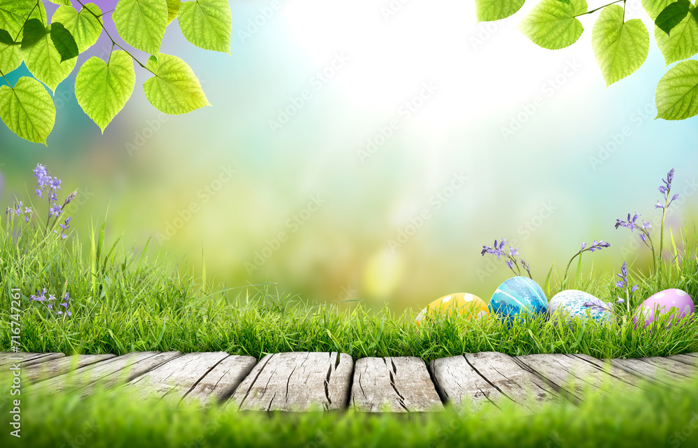 Painted easter eggs in the grass celebrating a Happy Easter in spring with a green grass meadow, tree leaves and bright sunlight background & rustic wooden bench to display products.