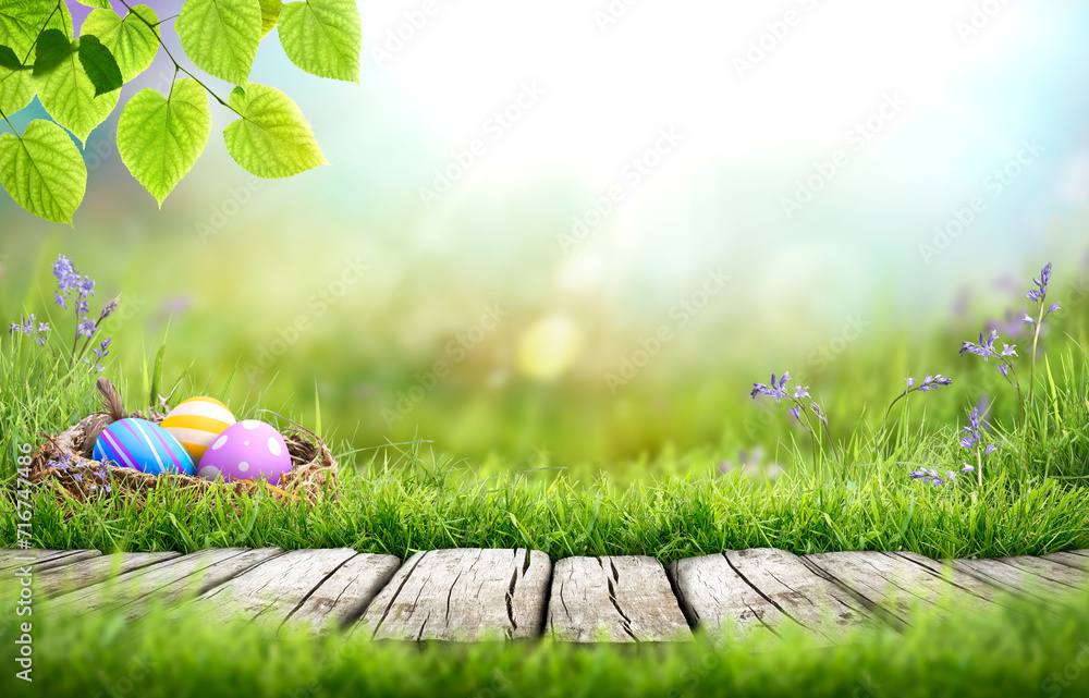 Painted easter eggs in a birds nest celebrating a Happy Easter in spring with a green grass meadow, tree leaves, bluebells and bright sunlight background & rustic wooden bench to display products.