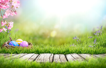 Painted easter eggs in the grass celebrating a Happy Easter in spring with a green grass meadow, cherry blossom and bright sunlight background & rustic wooden bench to display products.