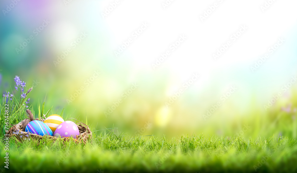 Three painted easter eggs in a birds nest celebrating a Happy Easter on a spring day with a green grass meadow and blurred grass foreground and bright sunlight background with copy space. - obrazy, fototapety, plakaty 