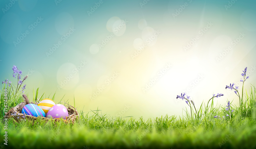 Three painted easter eggs in a birds nest celebrating a Happy Easter on a spring day with a green grass meadow with bluebells and blurred grass foreground and bright sunlight background