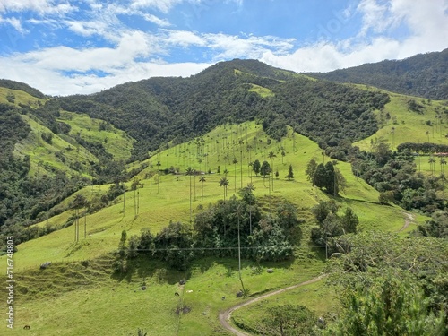 Cuadro en lienzo Valle del Cocora, Paisaje con palmas de cera, Colombia