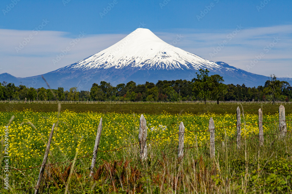 Vulkan Osorno und Lago Llanquihue, Puerto Octay, Seengebiet, Chile, Südamerika