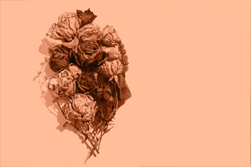 Wandcirkels Pantone 2024 Peach Fuzz Droogbloemen op perzikkleurige achtergrond  © Pixel_Studio_8