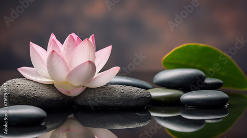 Relaxing zen like background with pebbles and lotus flowers 7