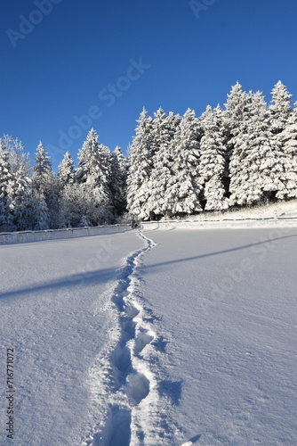 Footprints in the snow, Sainte-Apolline, Québec, Canada