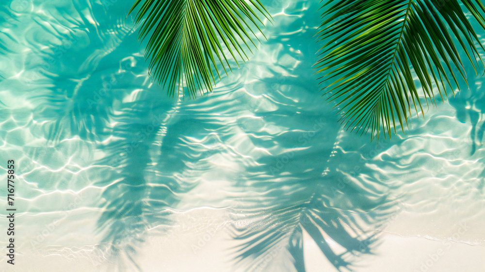 palm tree on the beach background 