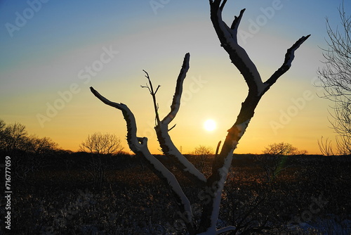 冬の釧路湿原から見た夕日
