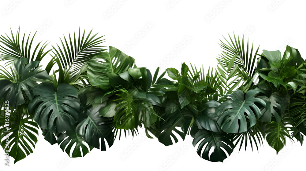 green grass isolated on white, nature label green grass isolated on white, nature label