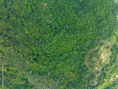 Aerial view Drone camera top view rainforest trees ecology with healthy environment concept and summer background