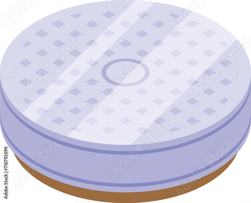Science planet icon isometric vector. Globe metal. Space research