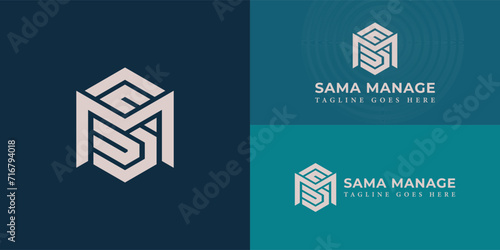 Foto Hexagon SM or MS letter logo design in white color isolated on a multiple blue background
