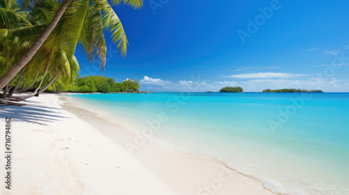Idyllic sandy beach with clear turquoise ocean and palms