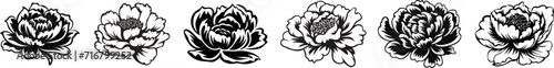 Set of Flower icons. Peony flower with leaves. Peonies hand drawn vector art. Black silhouette of peony flower
