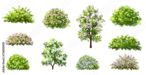 Vector watercolor blooming flower tree or forest side view isolated on white background for landscape and architecture drawing,elements for environment or and garden,shrub for section ,Set of floral