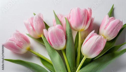 A radiant bouquet of pink tulips against a white backdrop, illuminated by natural light. The composition emphasizes the delicate petals and green stems, perfect for spring-themed designs.
