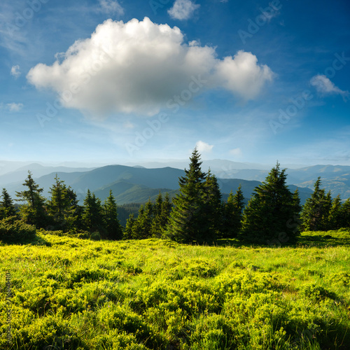 Amazing scene in summer mountains. Lush green grassy meadow and blue sky with fluffy clouds. Carpathians  Europe. Landscape photography