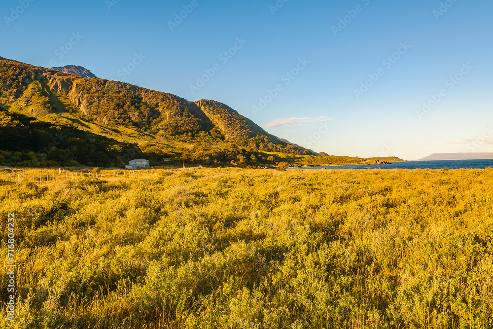 Coastal meadow landscape, tierra del fuego, argentina
