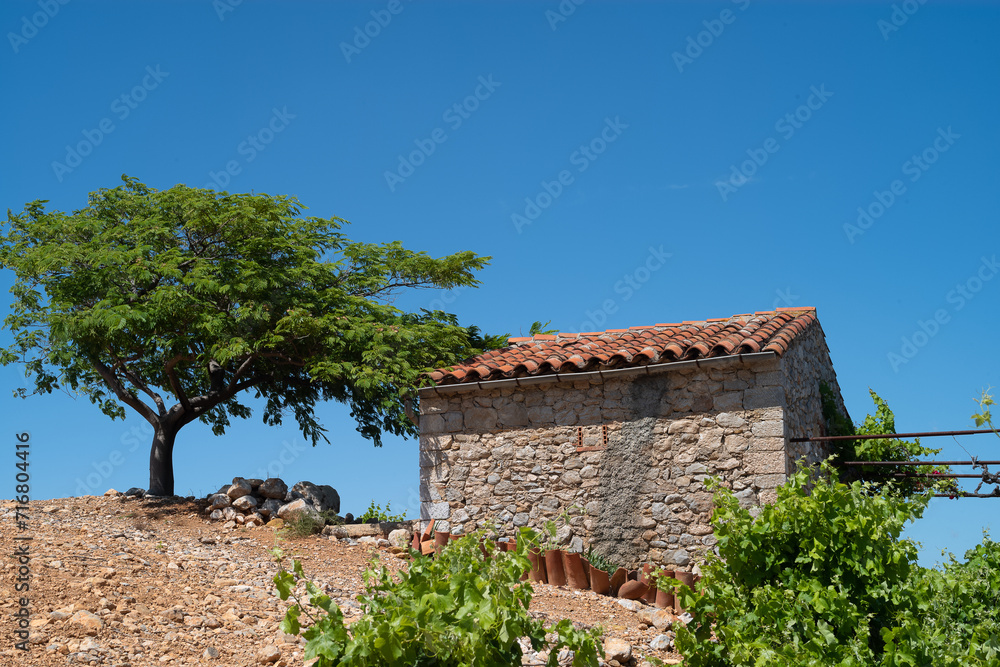 old castle in the mountains of  pyrénées orientales