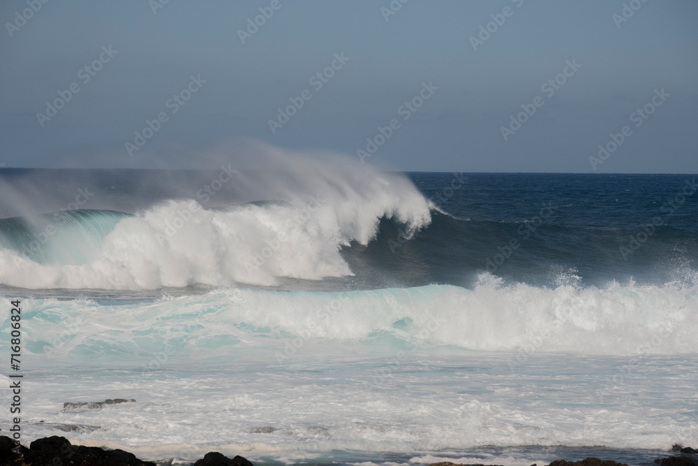 Fototapeta premium 2023-canarie-1782