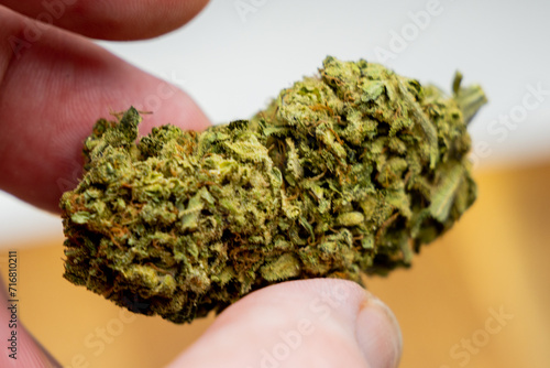 Cannatonic medical cannabis strain flower uk 