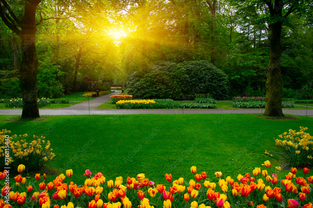 Obraz premium Spring flower park in the sunlight