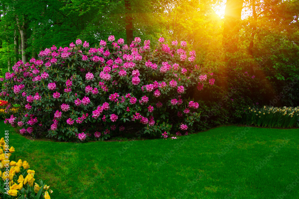 Obraz premium Spring flower park in the sunlight