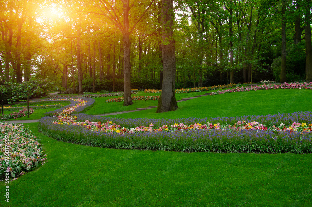 Obraz premium Spring flower park in the sunlight