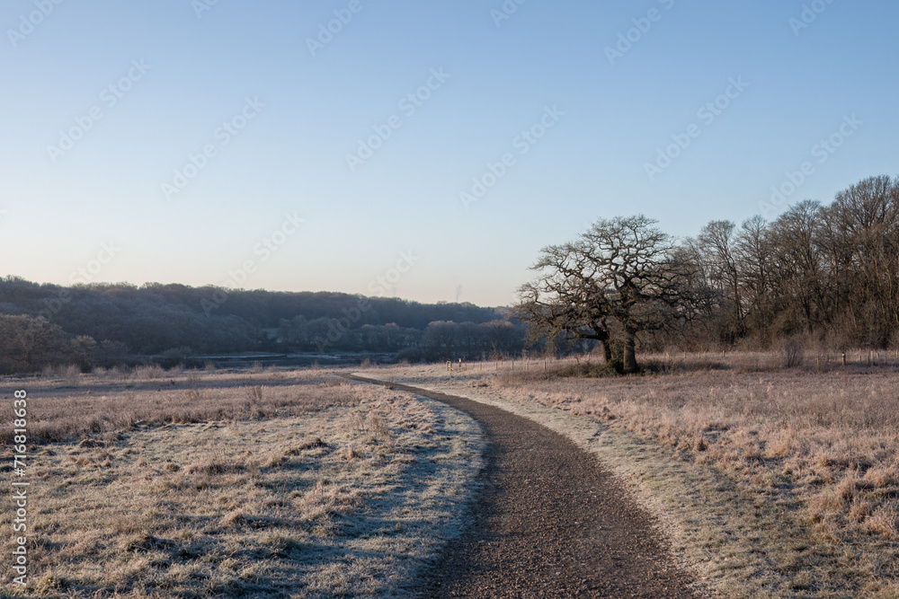 footpath through the frost in The River Hamble Country Park Hampshire England footpath through the frost in The River Hamble Country Park Hampshire England