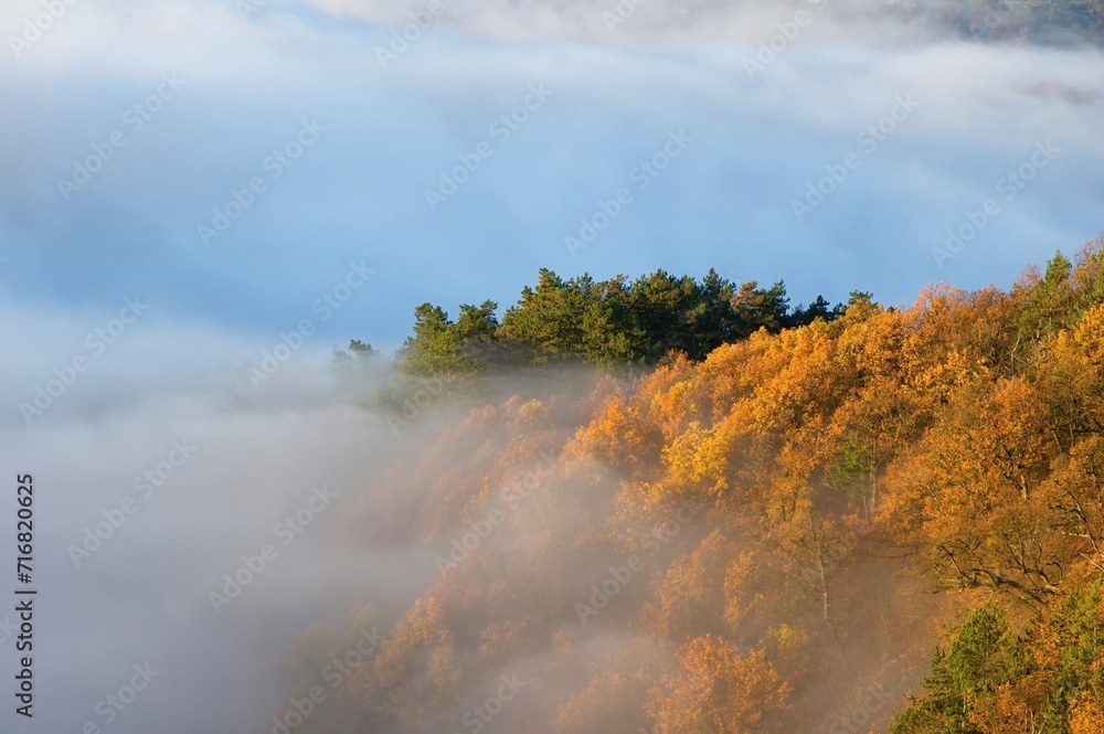 Colored sunrise in forested mountain slope with fog. Scenic mountain landscape. View on the  covered in fog. Colorful travel background.