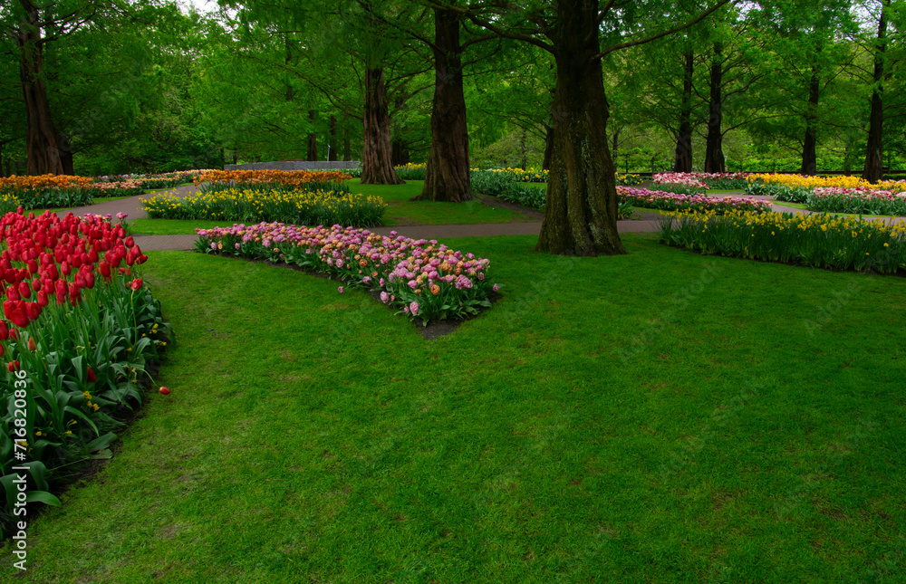 Garden with blooming spring flowers