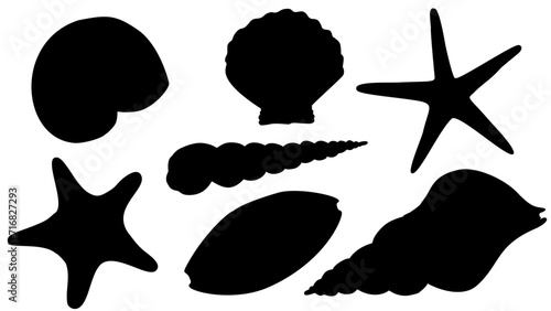 Seashell silhouettes vector set. Illustration of sea Shells on isolated background. Drawing of Scallop and Starfish. Cockleshell painted by black ink for icon or logo. Underwater etching.
