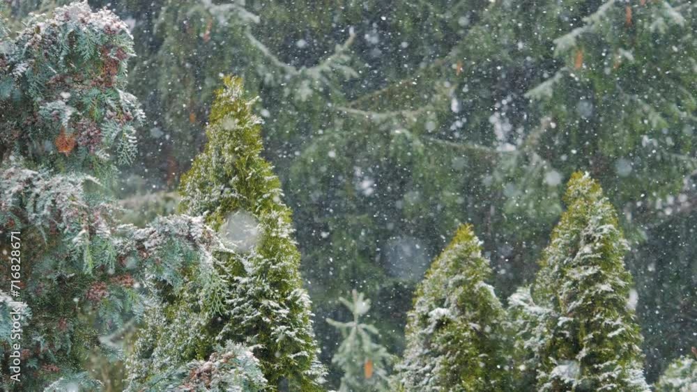 Blizzard Snow Storm During Heavy Winds Winter Snowfall in Mountains ...