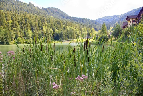 Hrabovska valley by Ružomberok