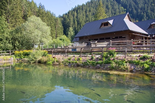 Čutkovská valley by Ruzomberok in summer, Slovakia