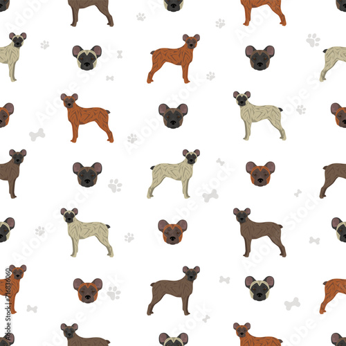 Saint Miguel Cattle dog seamless pattern. All coat colors set.