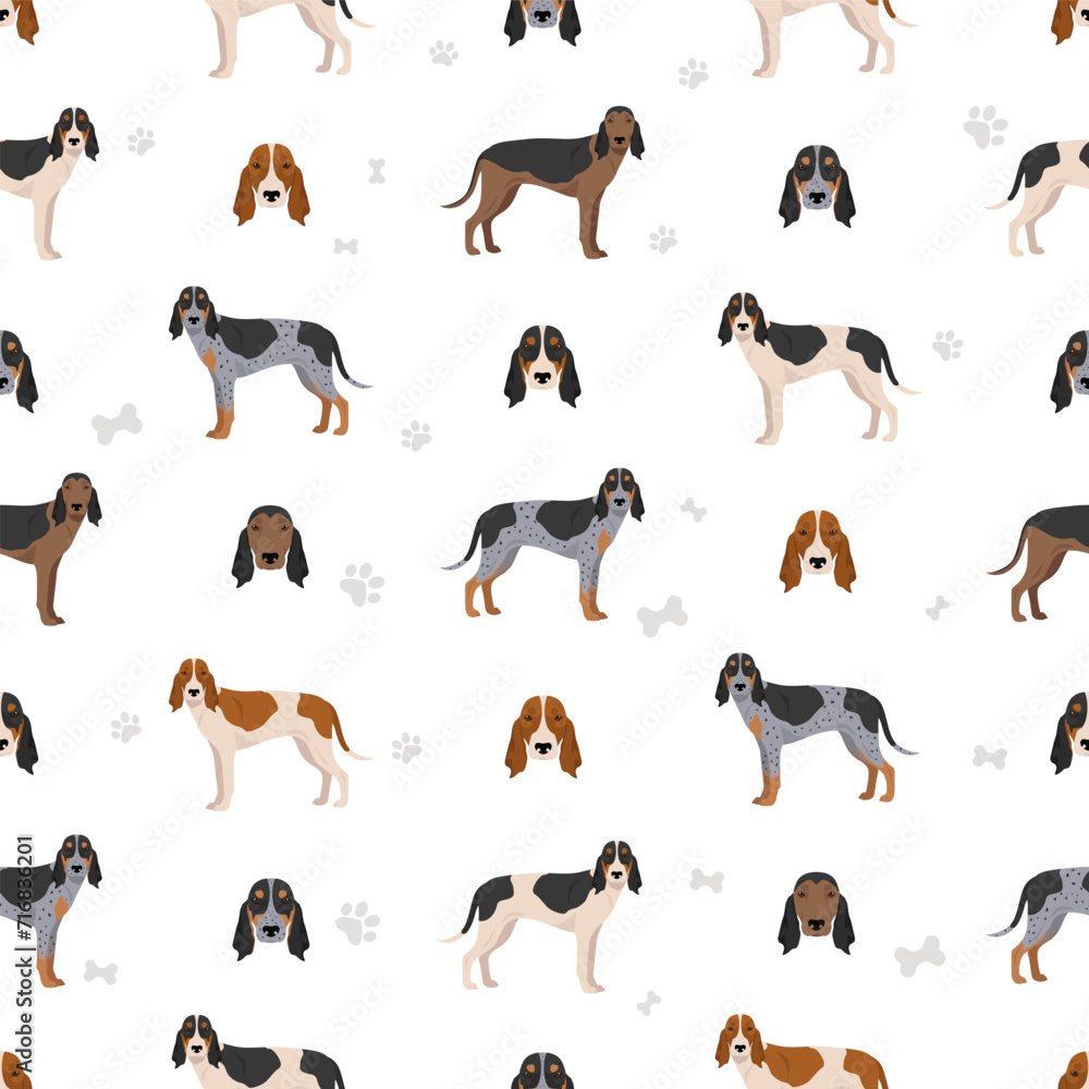 Schwyzer Laufhund, Swiss Hound seamless pattern. All coat colors set.  All dog breeds characteristics infographic