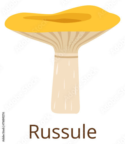 Russula mushroom color icon. Autumn forest fungus