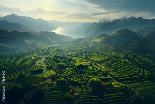 Aerial view of bright foggy...