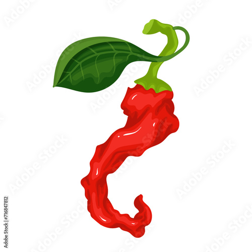 A pod of ripe red chili pepper. Vector graphics.