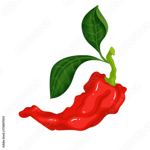 A pod of ripe red chili pepper. Vector graphics.