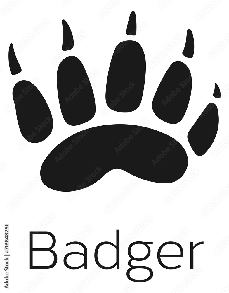 Wild badger foot mark. Forest animal footprint Wild badger foot mark. Forest animal footprint