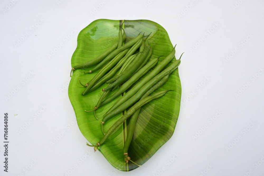 Naklejka premium Green beans. Many vitamins are found in it. Its other names names&nbsp;French beans,&nbsp;string beans,&nbsp;snap beans,&nbsp;snaps, and the French name&nbsp;haricot vert. Popular vegetable of all over world. 