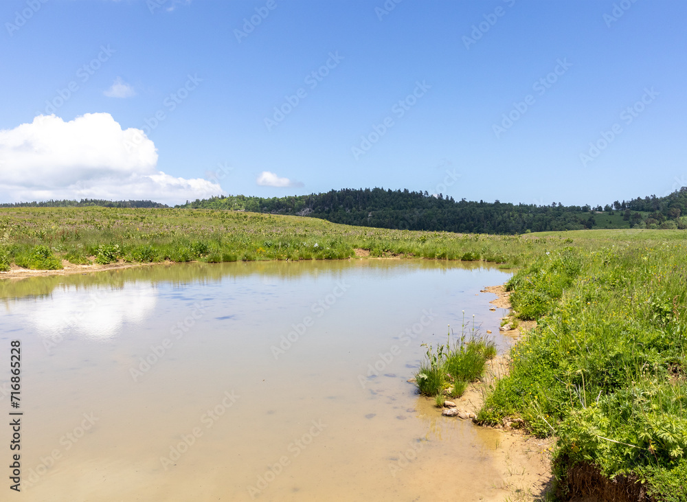 a small karst lake located on alpine meadows in early summer.