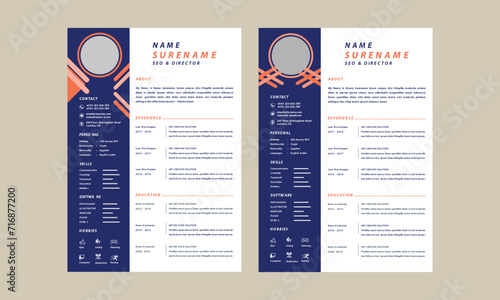 Professional resume curriculum template layout