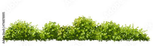 green grass isolated on white background, backdrop,eco environment concept design,watercolor greenery scene