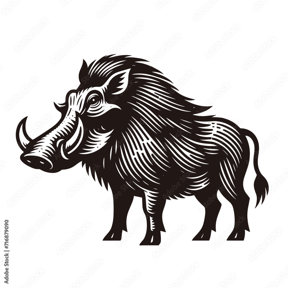 Warthog, African wild boar. Vintage vector engraved illustration. Contour drawing, line art, woodcut. Icon, logo, emblem