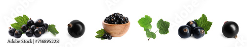 Ripe black currants and green leaves isolated on white, set photo