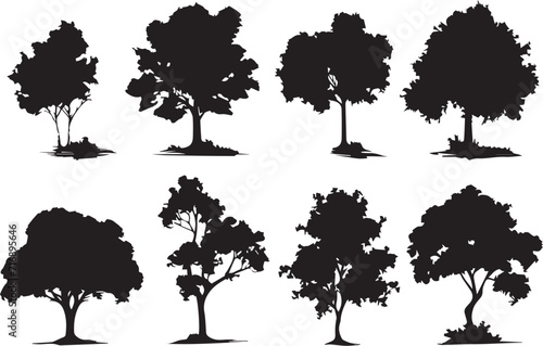 Set Trees. Hand drawn vector illustration 